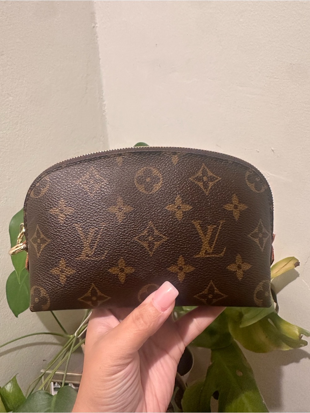 ✨ Louis Vuitton cosmetic pouch 🤎